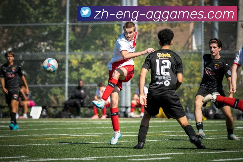 多媒体互动体验